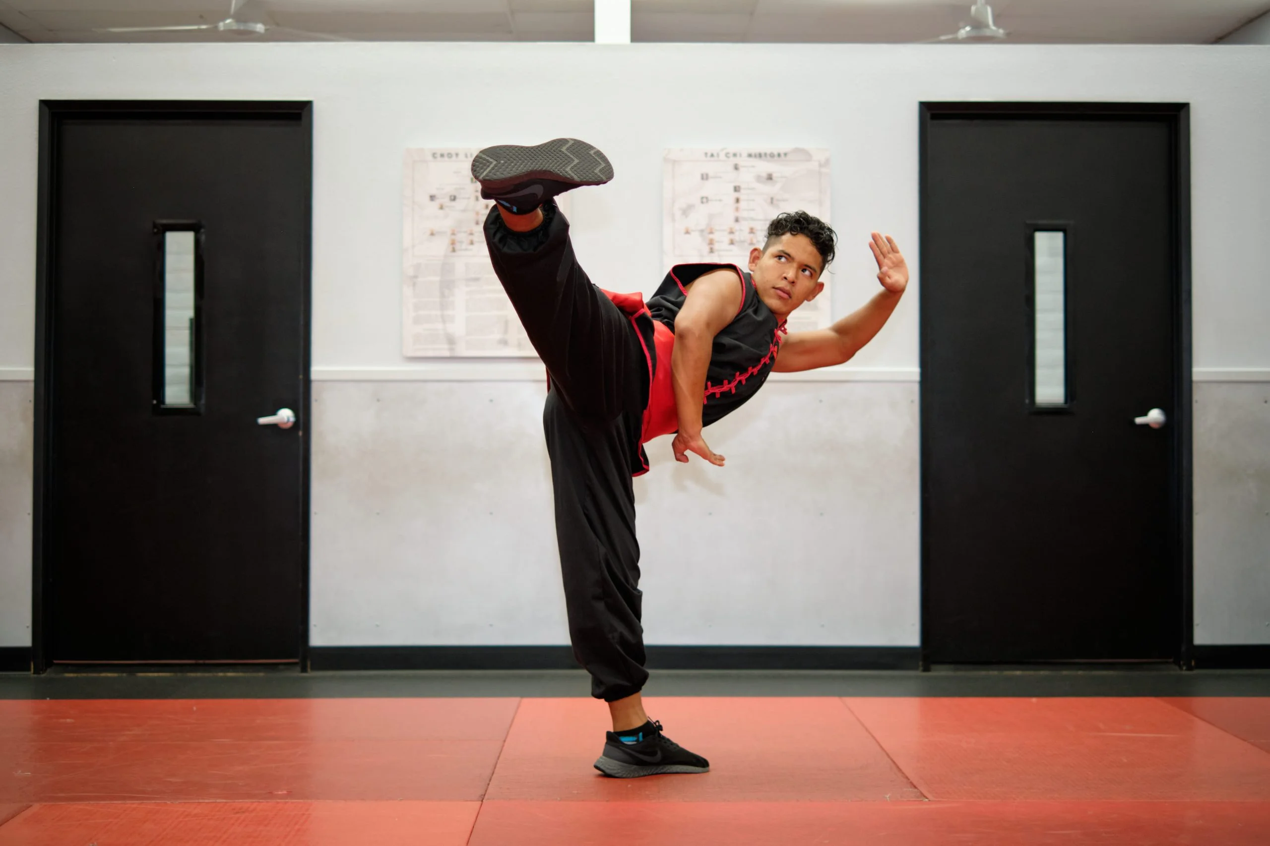Kung Fu Kicks