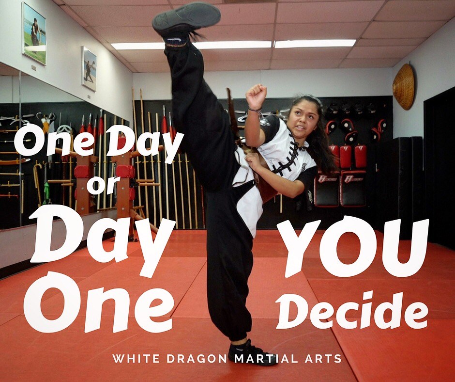 One_Day_or_Day_One_White_Dragon_Martial_Arts