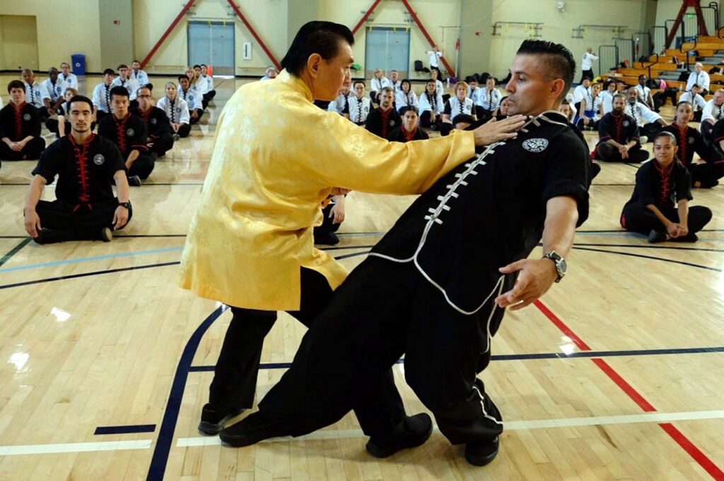 Repulse Monkey The Ancient Roots of Modern Yang Tai Chi – White Dragon Martial Arts