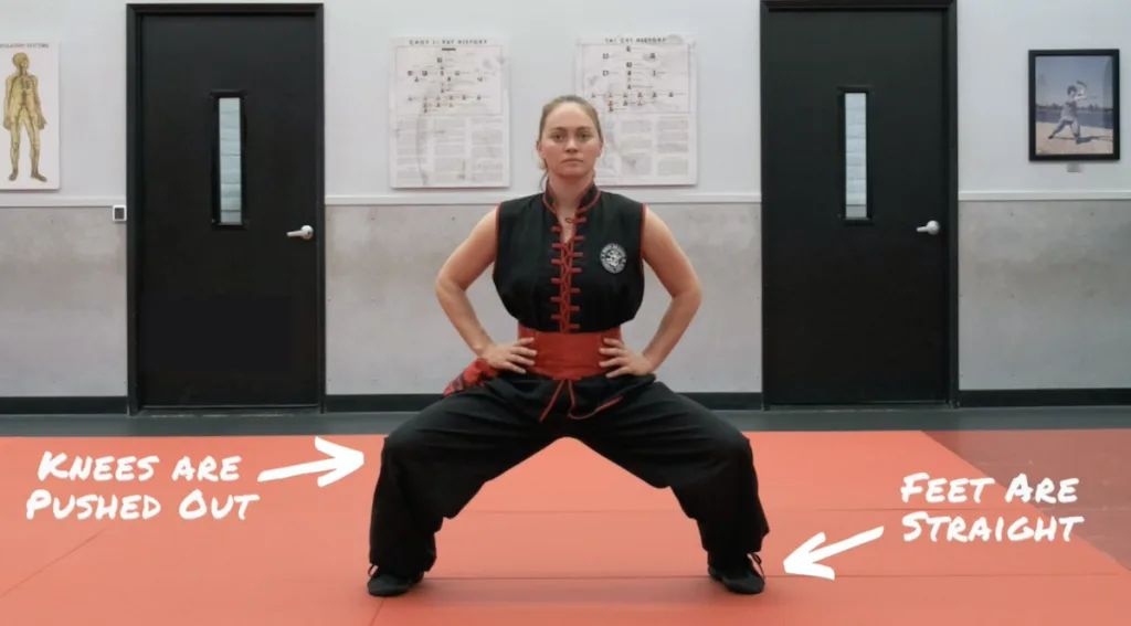 Kung fu stance training