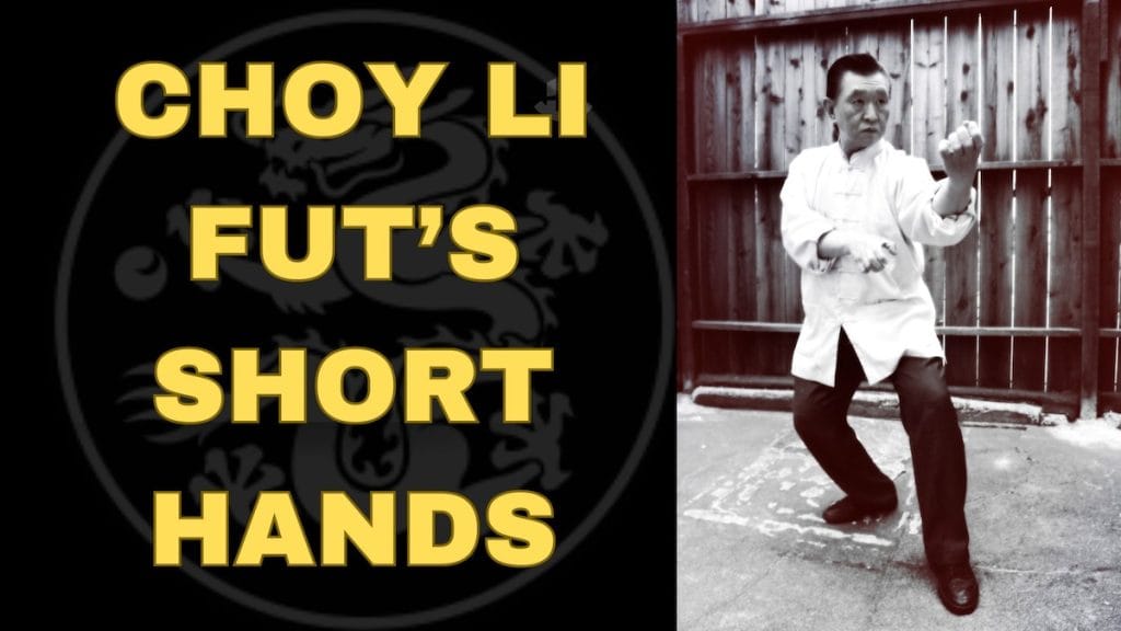 Choy Li Fut kung fu short hands by Grandmaster Doc Fai Wong.