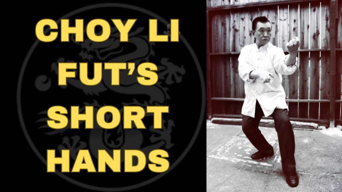 Choy Li Fut kung fu short hands by Grandmaster Doc Fai Wong.